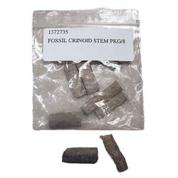 Delta Education Crinoid Stem Fossil, Pack of 8