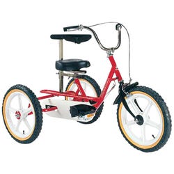TERRIER Trike 2124867