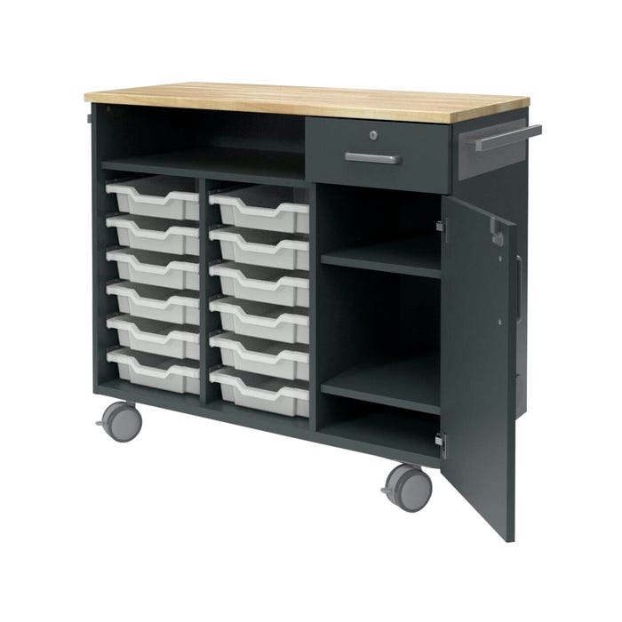 Fleetwood Designer 2.0 Project Cart, 12 Trays Included, Locking Door and Drawer