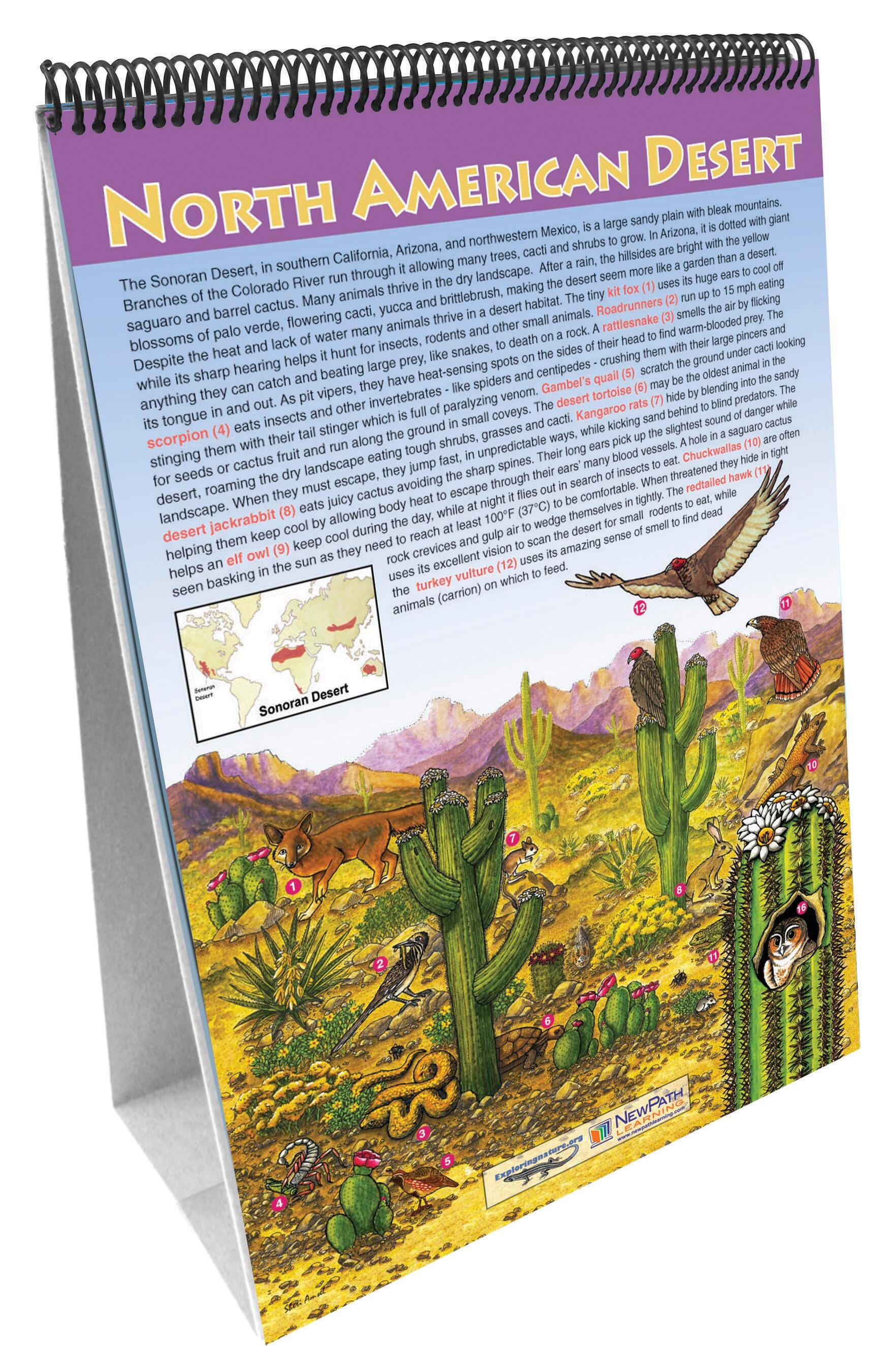 ECOLOGY, Item Number 1402414