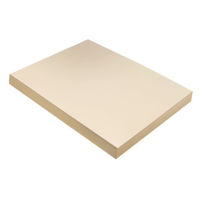 Pacon Medium Weight Tagboard, 9 x 12 Inches, 9 Pt, Manila, Pack of 100