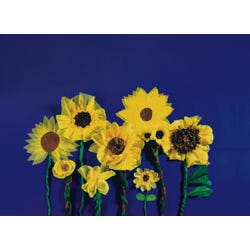 ANGLEIMAGES_FULLIMAGE