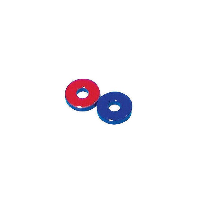 Painted Ring Magnets, Pack of 2