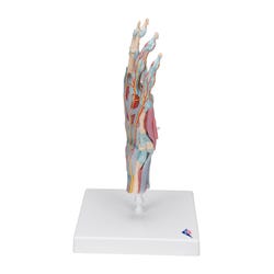 ANGLEIMAGES_FULLIMAGE