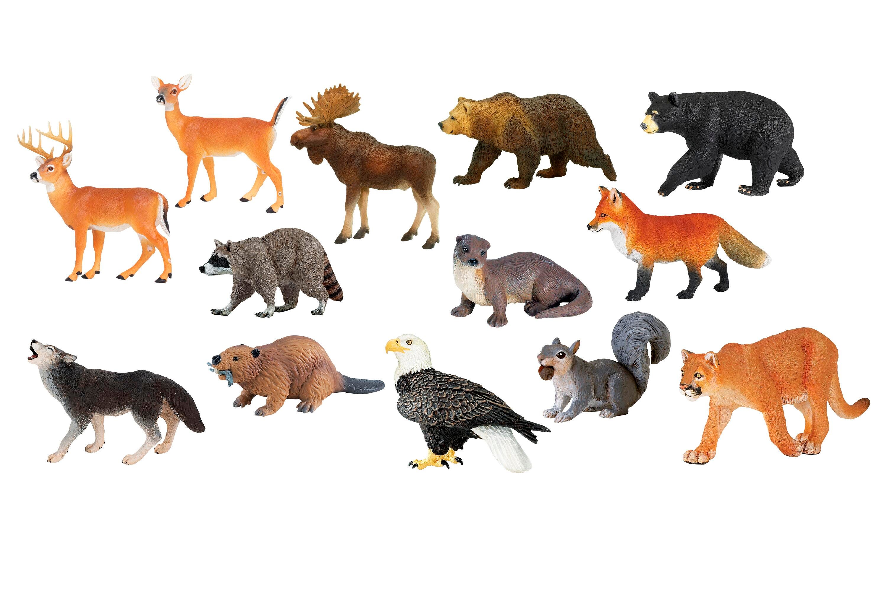 Image for Safari LTD North American Animal Set, 13 Pieces from School Specialty