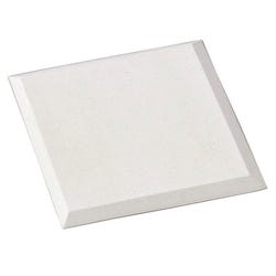 Champion Sports Heavy-Duty Rubber Base, White 007646