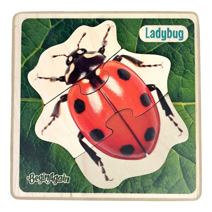 BeginAgain Garden Pals Ladybug Puzzle, 5 Pieces