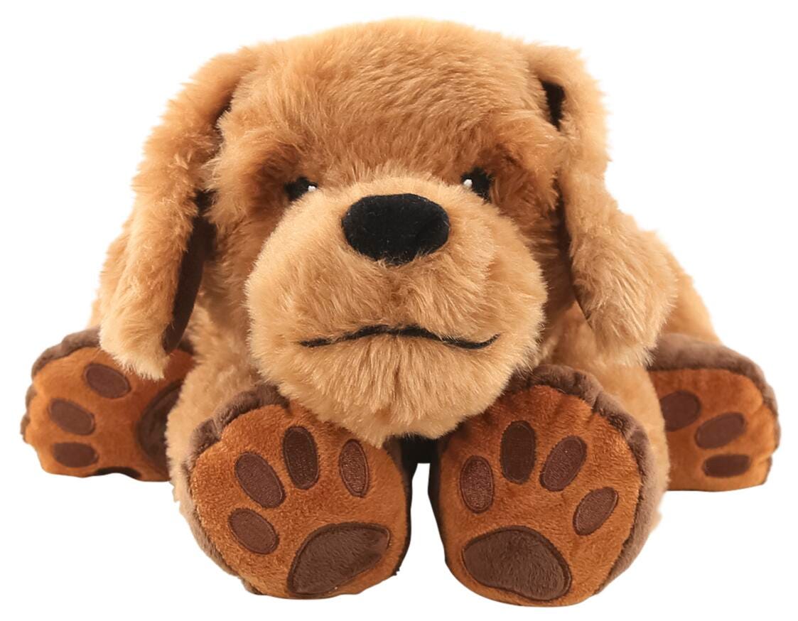 Theo the Therapy Dog 2120854