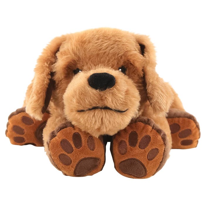 Theo the Therapy Dog