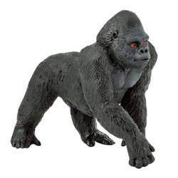 ANGLEIMAGES_FULLIMAGE