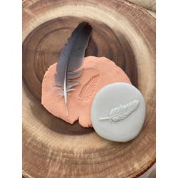 ANGLEIMAGES_FULLIMAGE