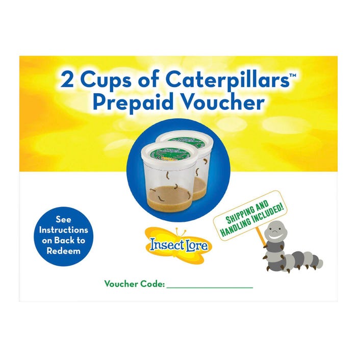 Insect Lore Caterpillar Prepaid Voucher, Two Cups