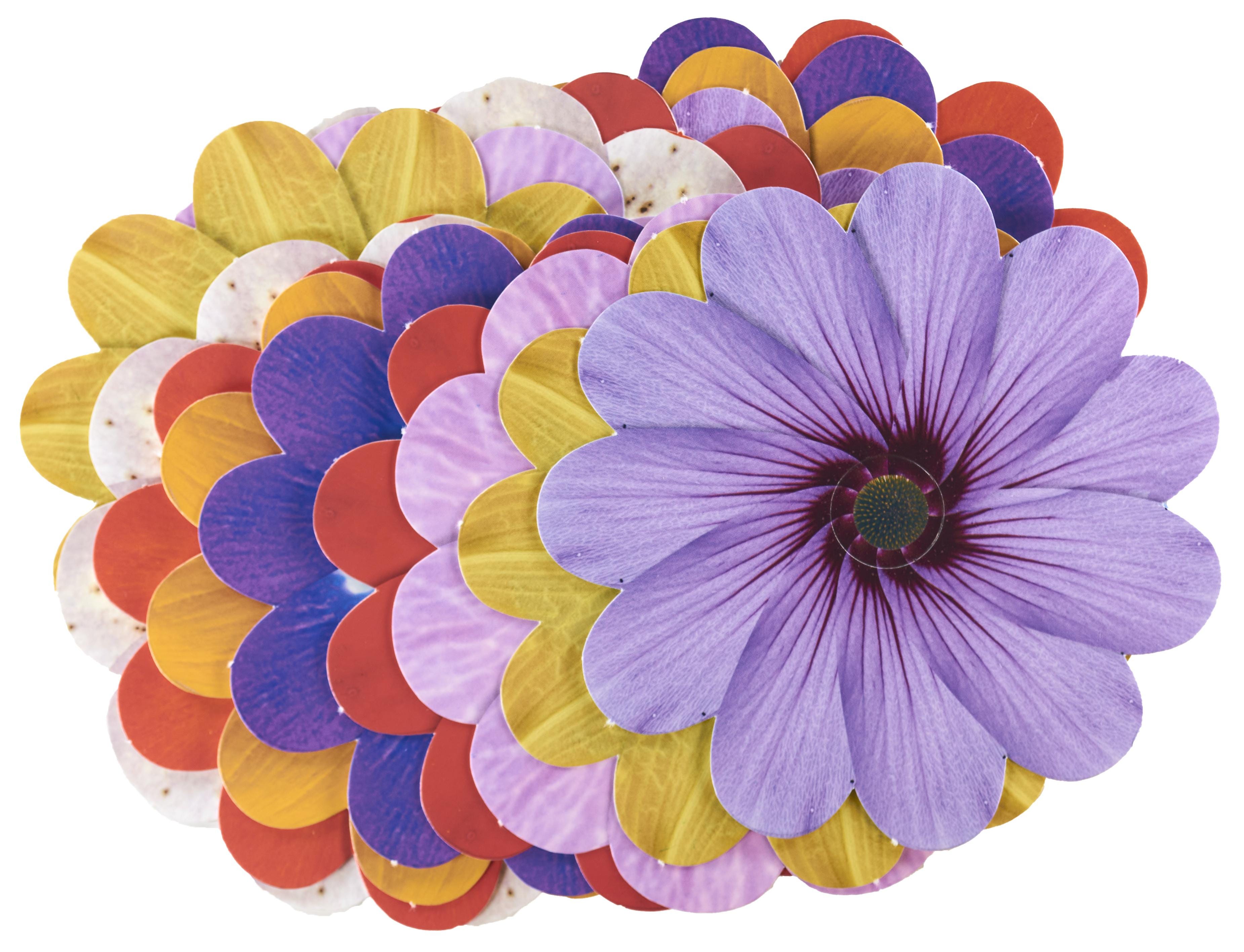 Image for Roylco Take-Home Weaving Flowers, Pack of 16 from School Specialty