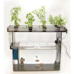 Frey Scientific Classroom Aquaponics Kit, Item Number 1539813