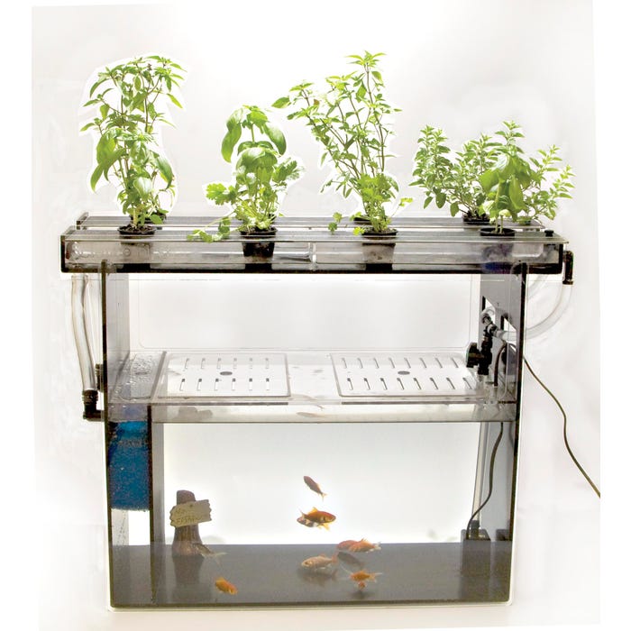 Frey Scientific Classroom Aquaponics Kit