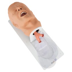 Economy Adult Airway Management Trainer