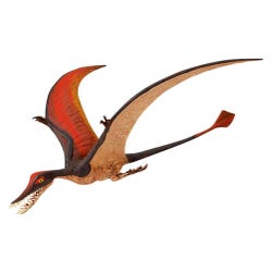 ANGLEIMAGES_FULLIMAGE