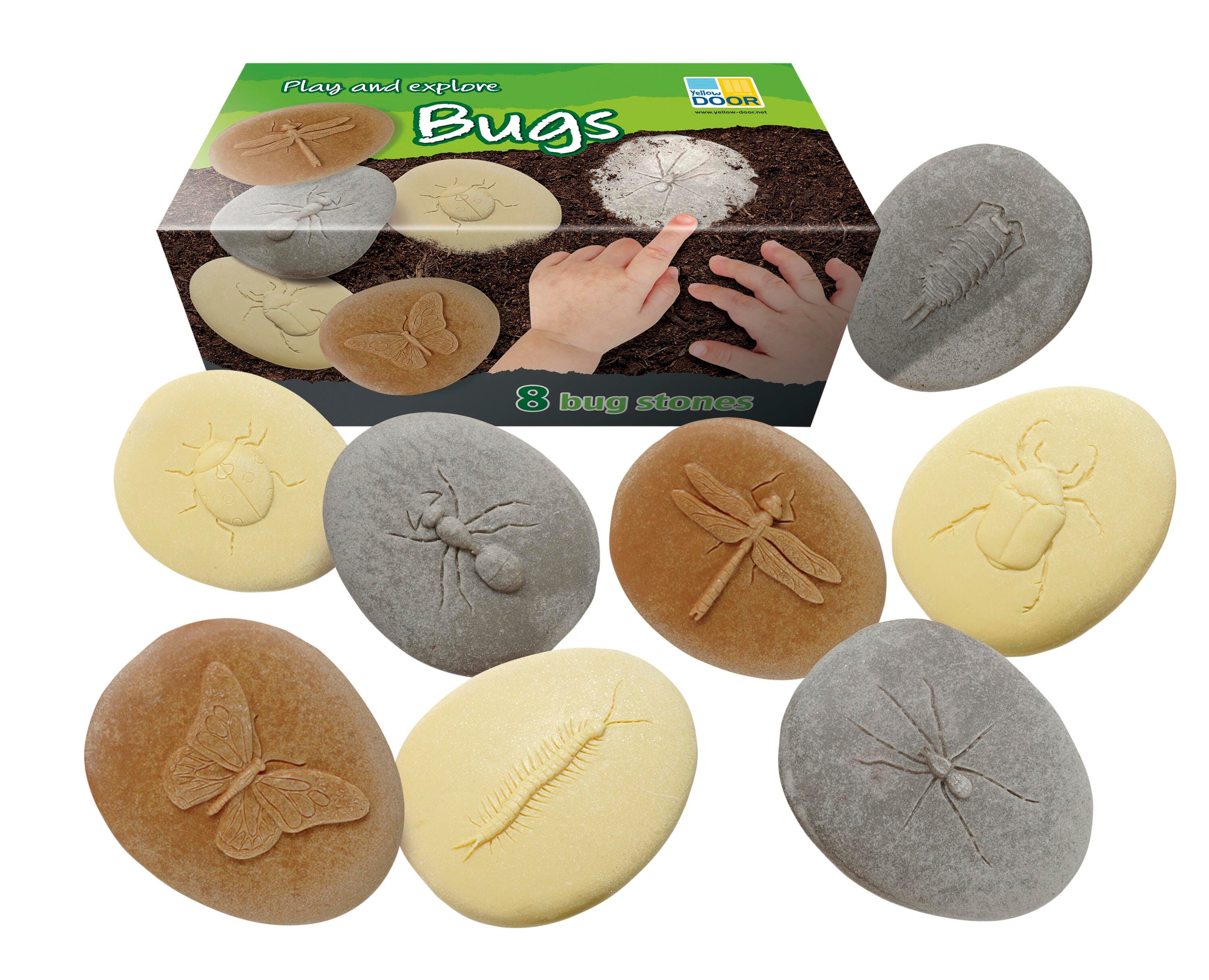 Image for Yellow Door Let&#039;s Investigate, Bugs, Set of 8 from School Specialty