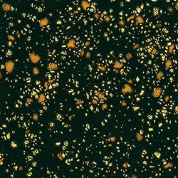 Sax Colorburst Glaze, Black Iris, 1 Pint 451532
