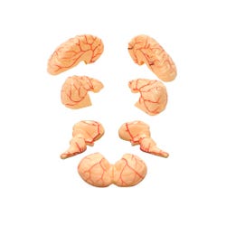 ANGLEIMAGES_FULLIMAGE