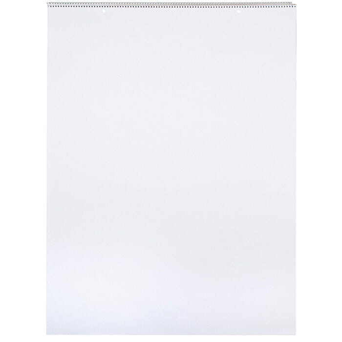 Chart Tablets, Unruled, 24 x 32, White, 25 Sheets