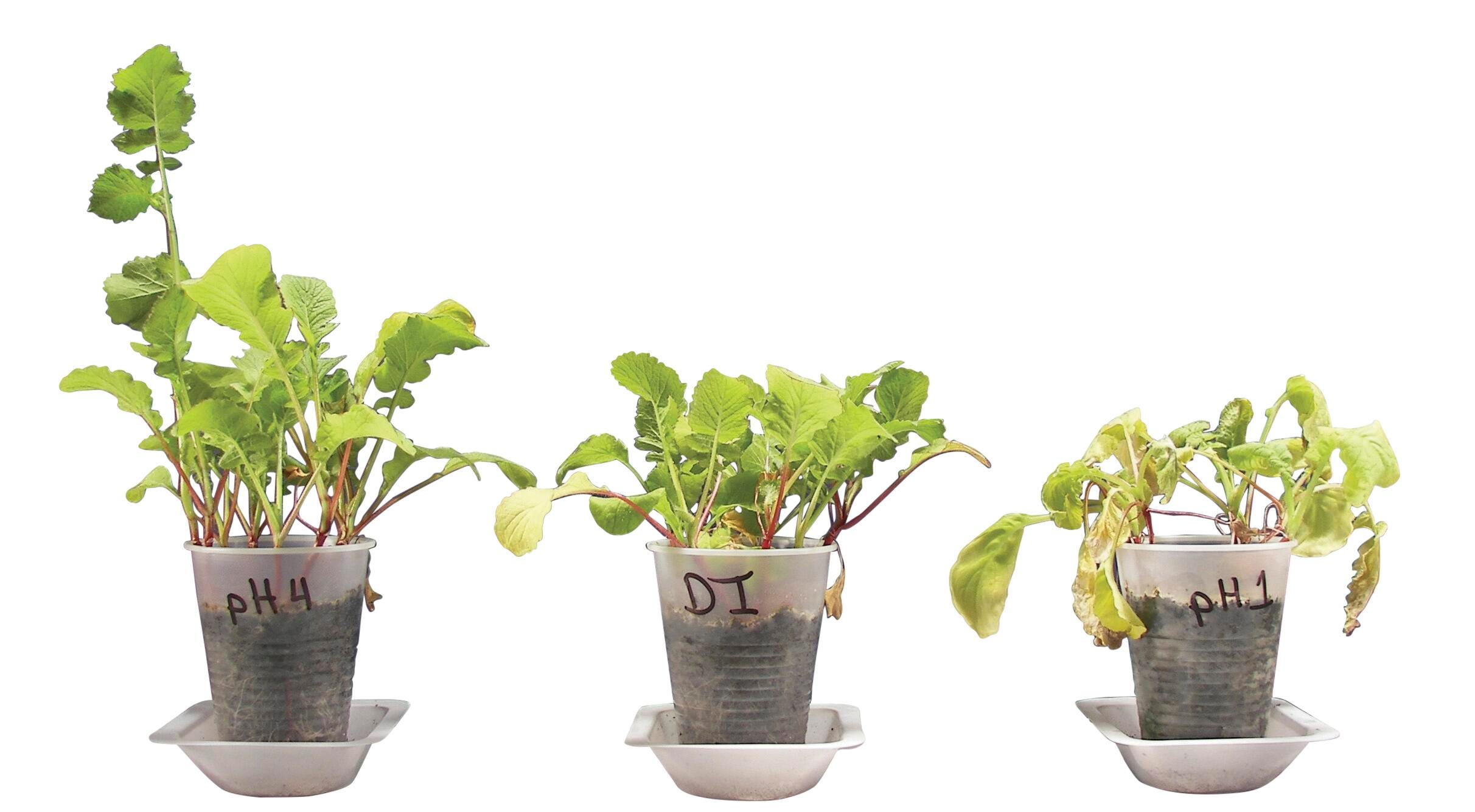 Life Science Products, Books Supplies, Item Number 1399036