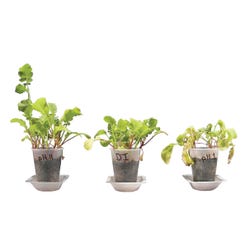 Life Science Products, Books Supplies, Item Number 1399036
