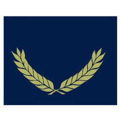Hayes Certificate Folders, Gold Foil Stamped, Blue, Pack of 30, Item Number 2019603