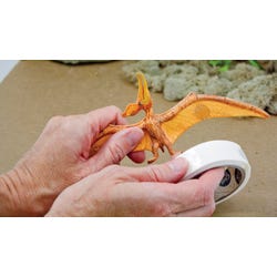 ANGLEIMAGES_FULLIMAGE