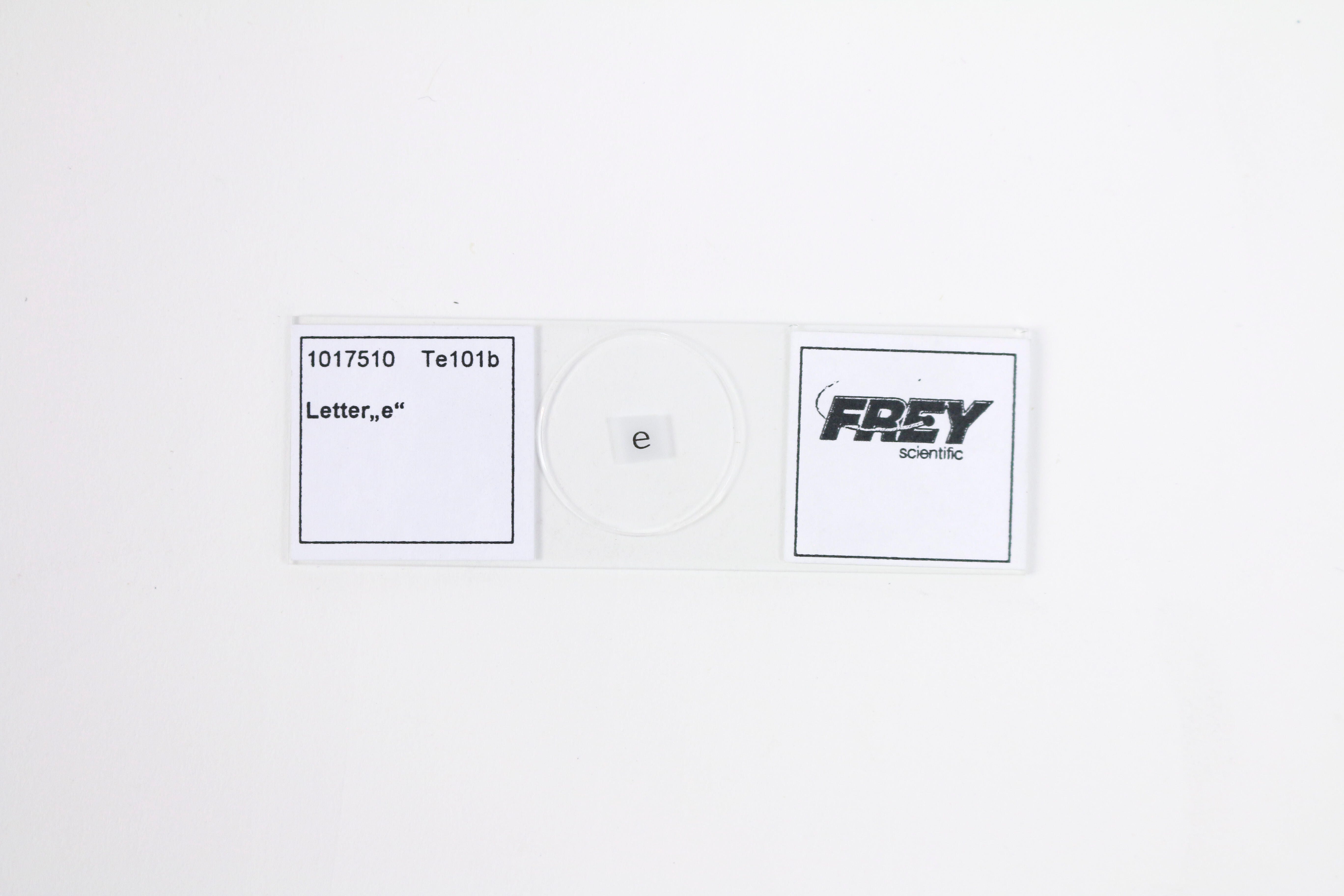 Frey Scientific Prepared Microscope Slide, Prepared Letter "E" 1017510