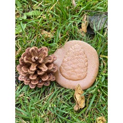 ANGLEIMAGES_FULLIMAGE