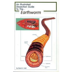 Frey Scientific Mini-Guide to Earthworm Dissection, Paperback, 8 Pages 597003