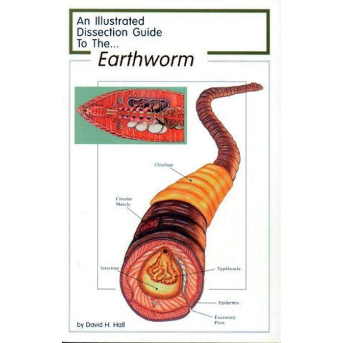 Frey Scientific Mini-Guide to Earthworm Dissection, Paperback, 8 Pages