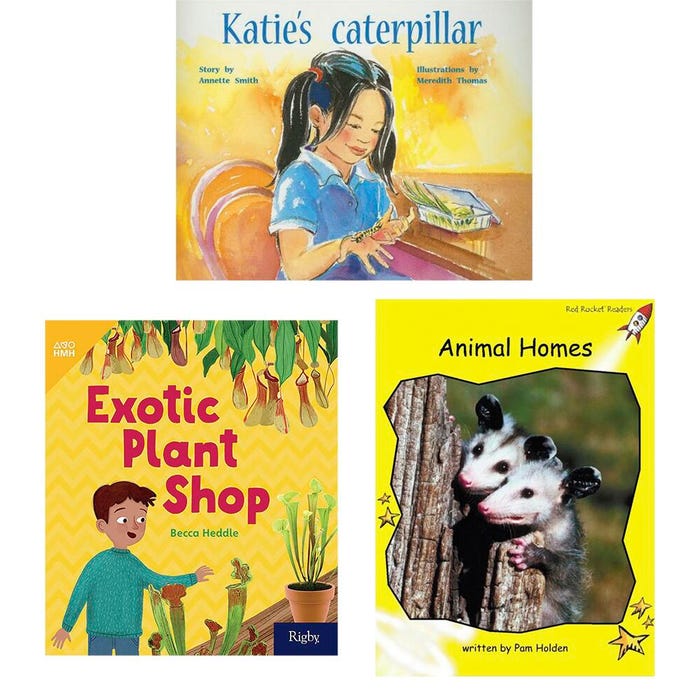 Achieve It! Multipublisher Guided Reading Level E : Variety Pack, Grade 1, Set of 16 Titles