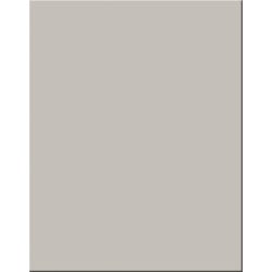 Poster Boards, Item Number 2002161