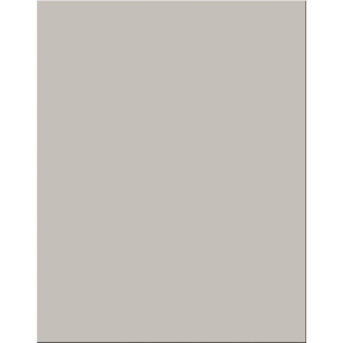 Pacon Poster Board, 22 x 28 Inches, Gray, Pack of 25