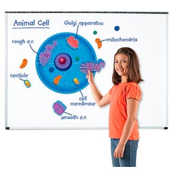 Learning Resources Giant Magnetic Animal Cells, 18 Pieces 1397805