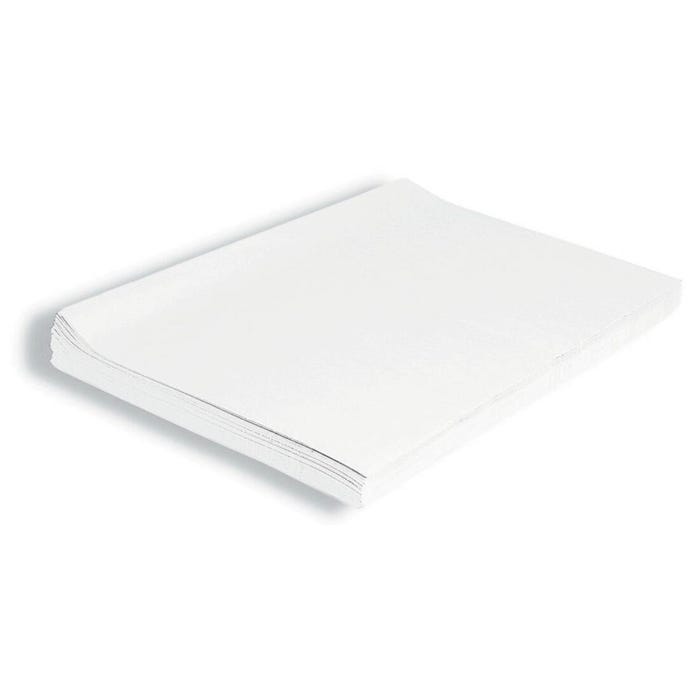 Spectra Deluxe Bleeding Tissue Paper, 20 x 30 Inches, White, 24 Sheets