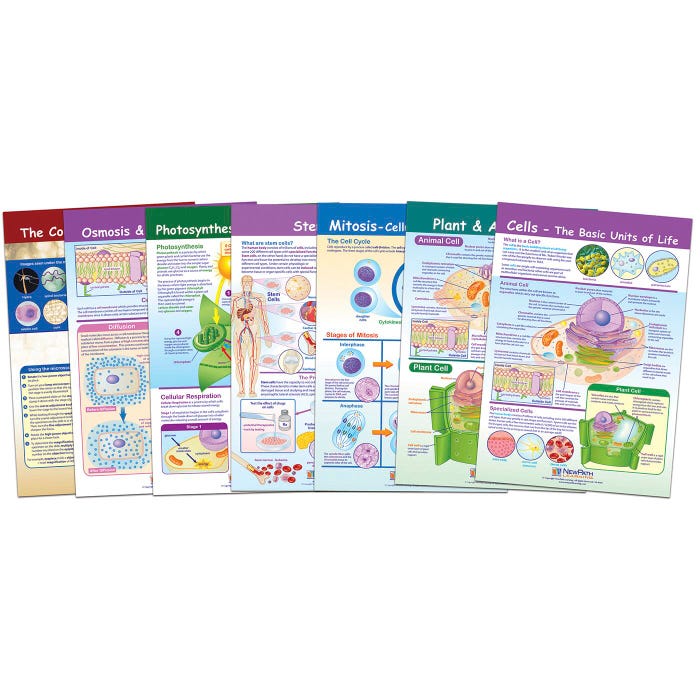 NewPath Learning Bulletin Board Chart Set of 7, Cells, Grades 5 to 8