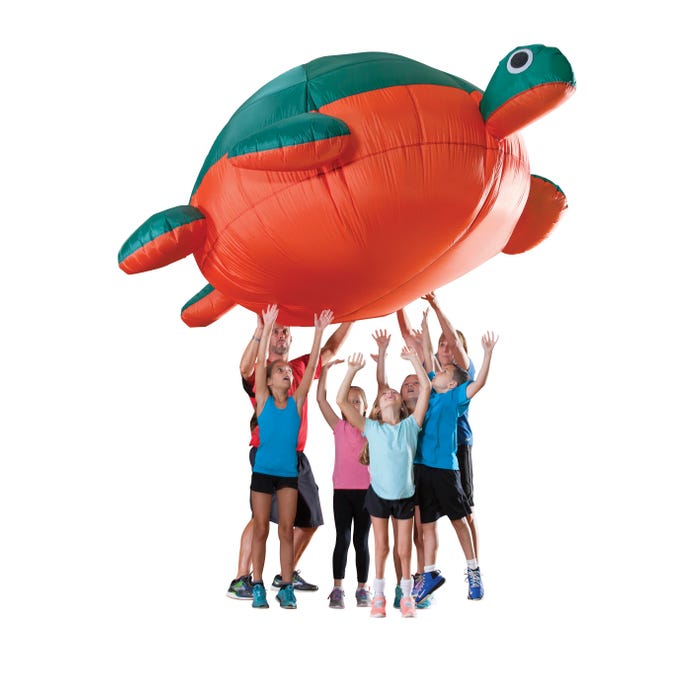 FlagHouse Turtle Airlite, 8 x 6 Feet, Each