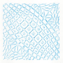 ANGLEIMAGES_FULLIMAGE