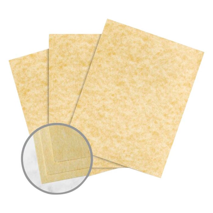 Astroparche Premium Card Stock, 8-1/2 x 11 Inches, 60 lb, Ancient Gold, Case of 8 Reams