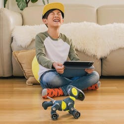 ANGLEIMAGES_FULLIMAGE