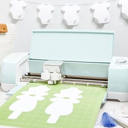 ANGLEIMAGES_FULLIMAGE