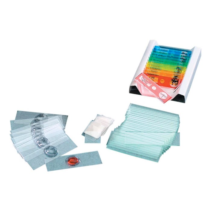 United Scientific Prepared Plant and Animal Slides - Set of 12