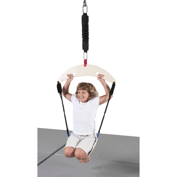 Southpaw Frog Swing with Seat, Multiple Color, Holds Up to 90 Pounds