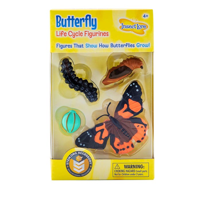 Insect Lore Butterfly Life Cycle Model, Set of 4