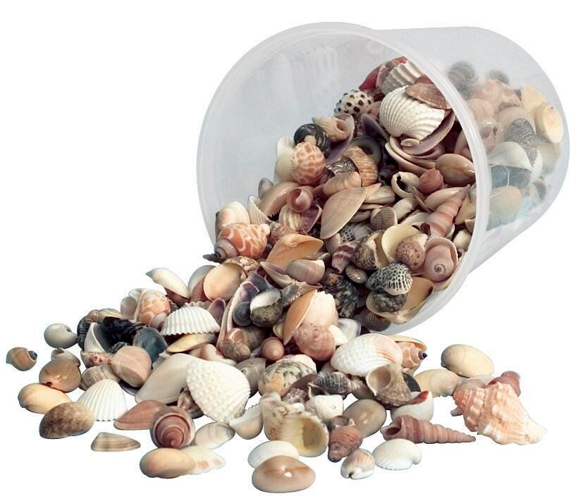 Hygloss Bucket O' Shells, Assorted Sizes, Natural White, 1 Pound Item Number 407349