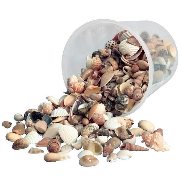 Hygloss Bucket O' Shells, Assorted Sizes, Natural White, 1 Pound