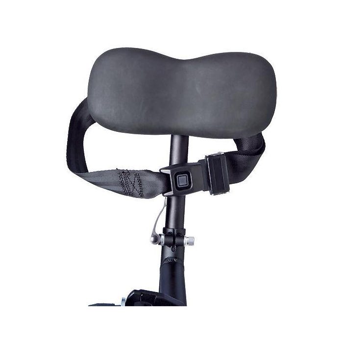 LYRCA Back Support For Trikes